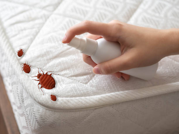 Best Flea Control Services  in Lincolnshire, IL